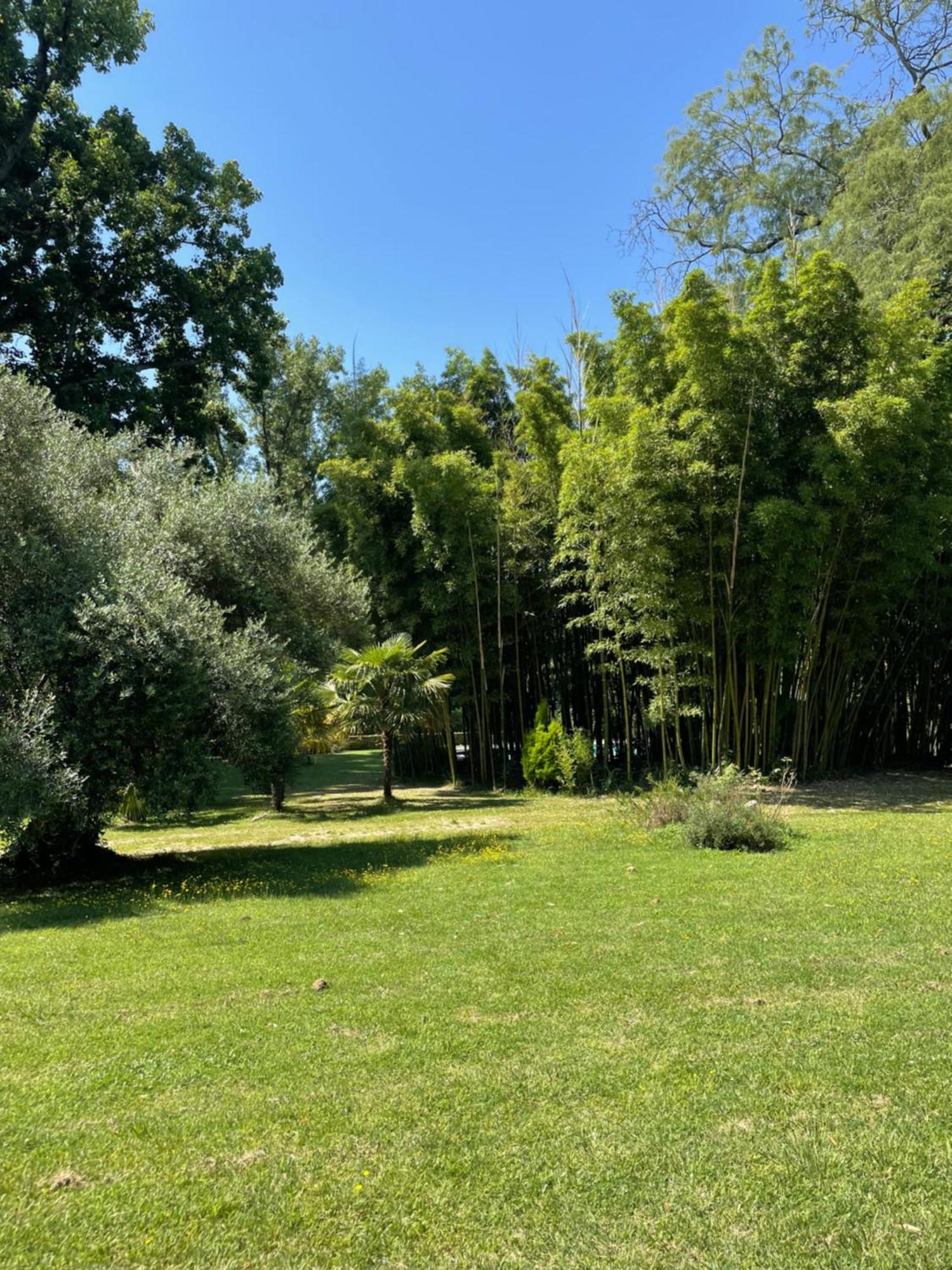 La Rebière d'Or, B&B et Gîte Mouleydier Exterior foto
